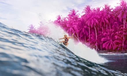 Billabong Womens: Creatures of Color