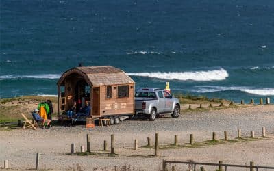 Patagonia Worn Wear Wetsuit Repair Tour