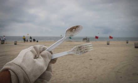 Ocean Activists Unite for UK’s Biggest Beach Clean