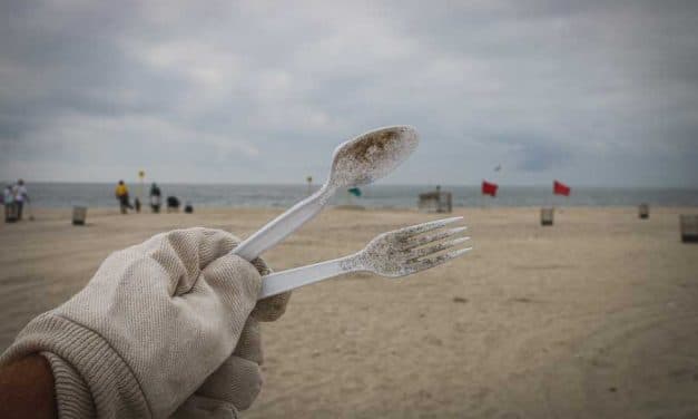 Ocean Activists Unite for UK’s Biggest Beach Clean