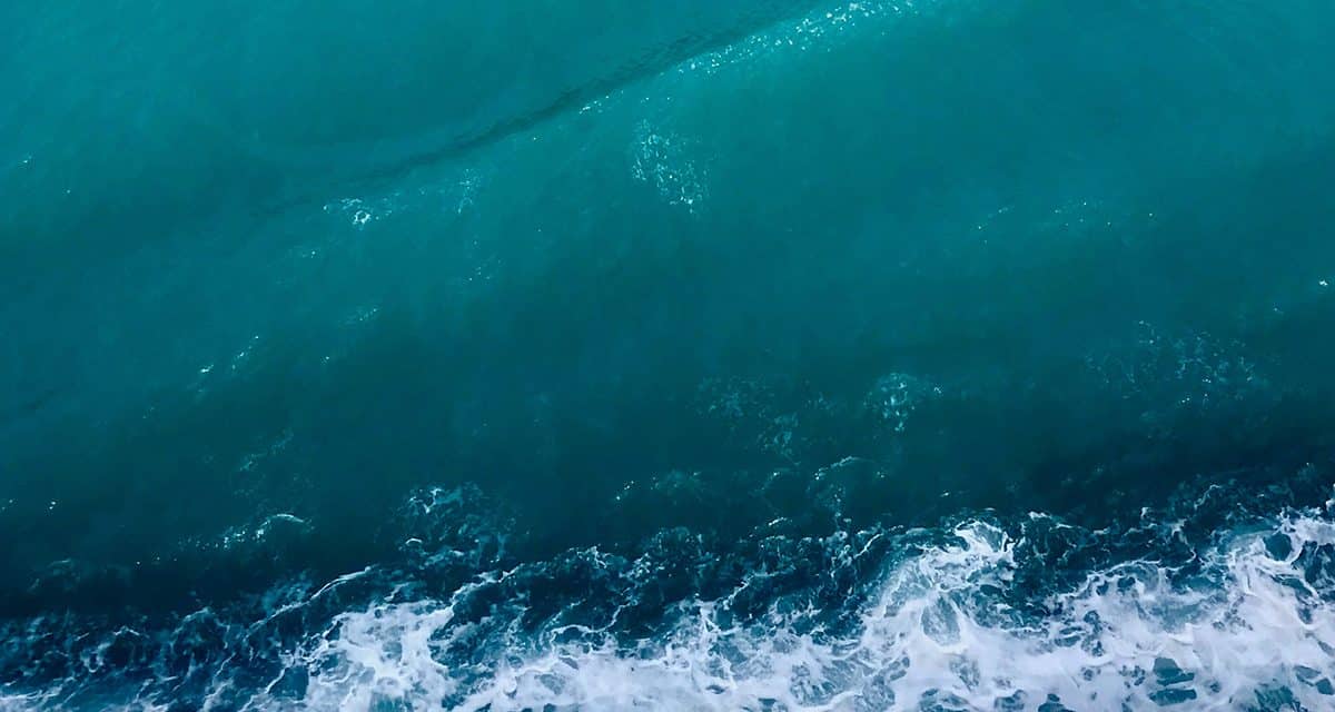 Vitamin Sea Is All You Need To Be Happy