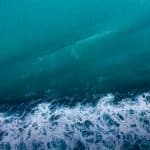 Vitamin Sea Is All You Need To Be Happy