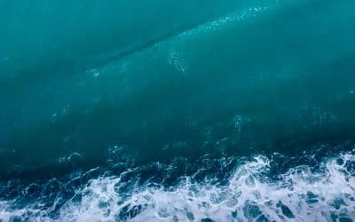 Vitamin Sea Is All You Need To Be Happy