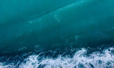 Vitamin Sea Is All You Need To Be Happy