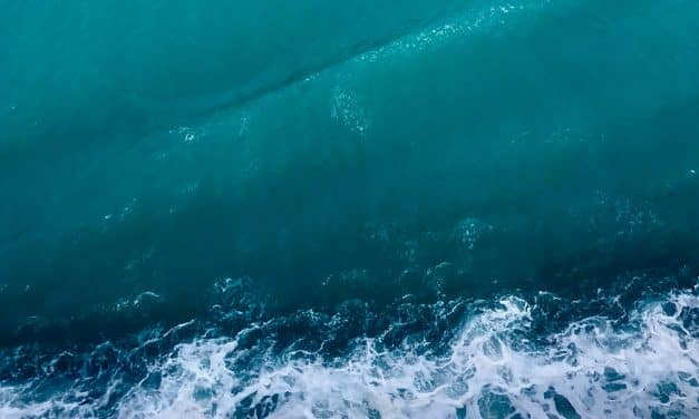 Vitamin Sea Is All You Need To Be Happy