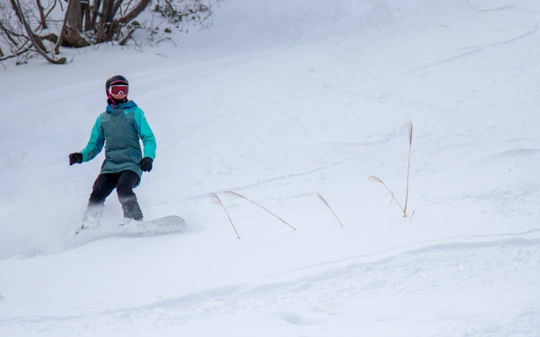 Surfing Powder in Japan’s Coastal Ski Resort