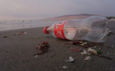 Dirty Dozen Fuels The UK’s Packaging Pollution Crisis