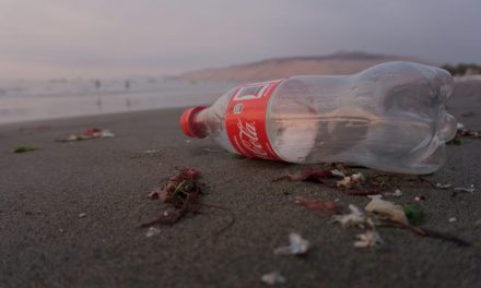 Dirty Dozen Fuels The UK’s Packaging Pollution Crisis