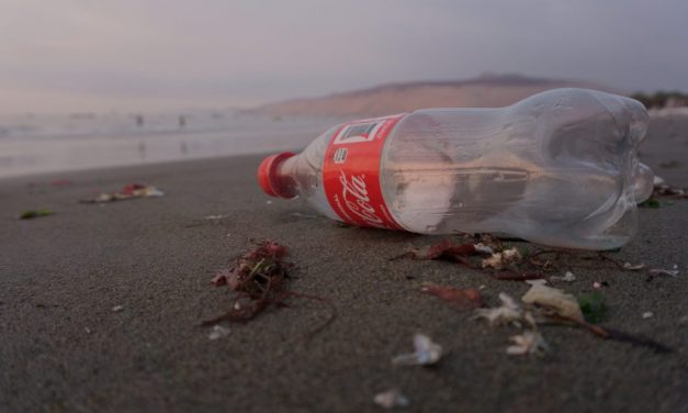 Dirty Dozen Fuels The UK’s Packaging Pollution Crisis