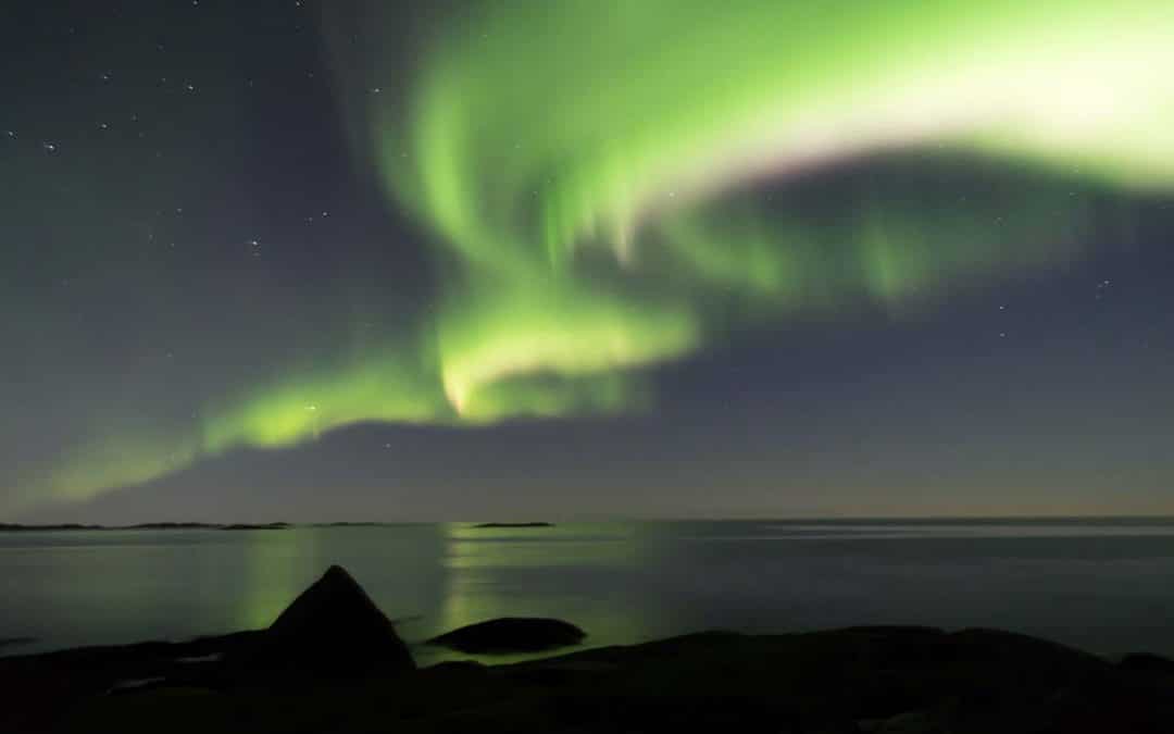 Lofoten Coldwater Connection