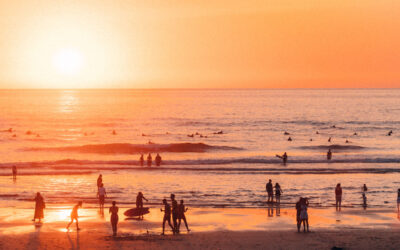 Boardmasters – Skate Ramp Returns