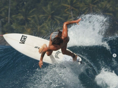 From Barrels to Biomechanics