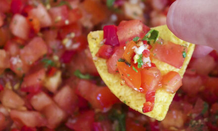 Tangy Tomato Salsa