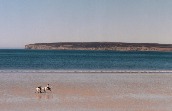 White Horses – A Surfers Journey