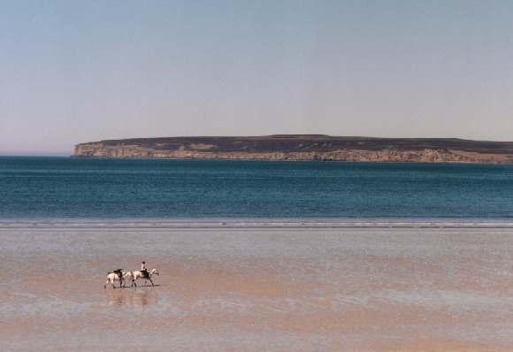 White Horses – A Surfers Journey