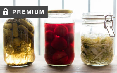 Fermented Foods Are Good For Gut Health