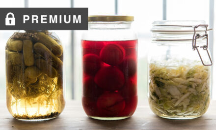 Fermented Foods Are Good For Gut Health