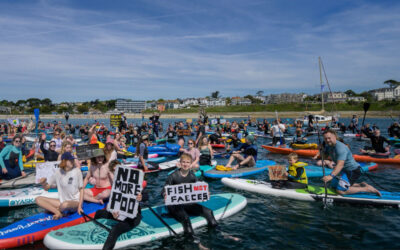 Paddle Protests Saturday 17 May