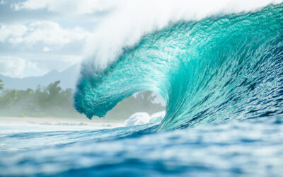 Return to Pipeline