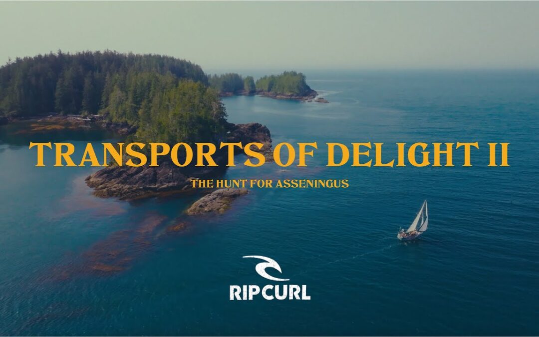 Transports of Delight II – Mathea Olin