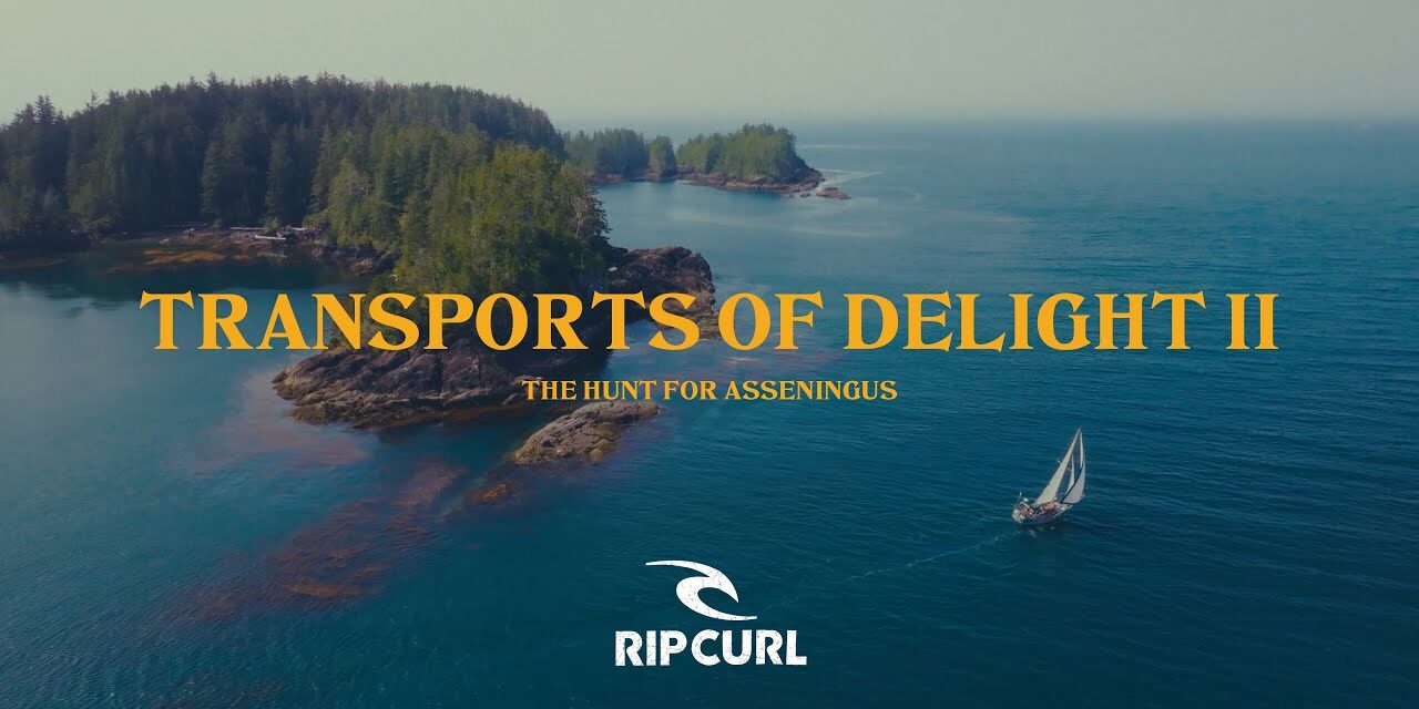 Transports of Delight II – Mathea Olin