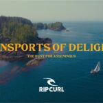 Transports of Delight II – Mathea Olin