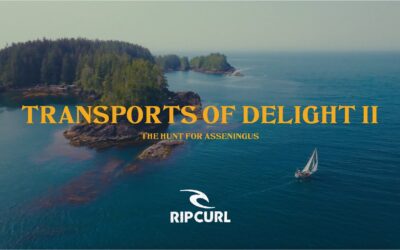 Transports of Delight II – Mathea Olin