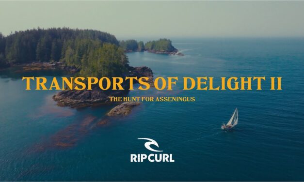 Transports of Delight II – Mathea Olin