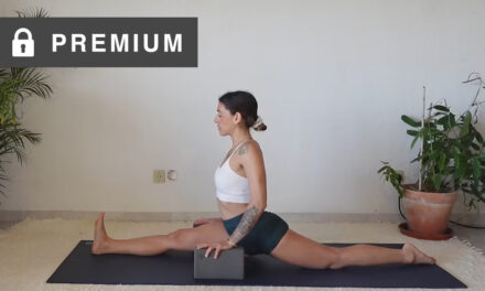 Deep Flexibility & The Splits