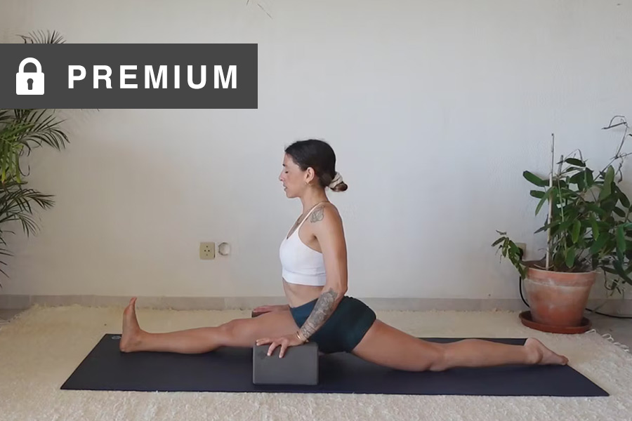 Deep Flexibility & The Splits