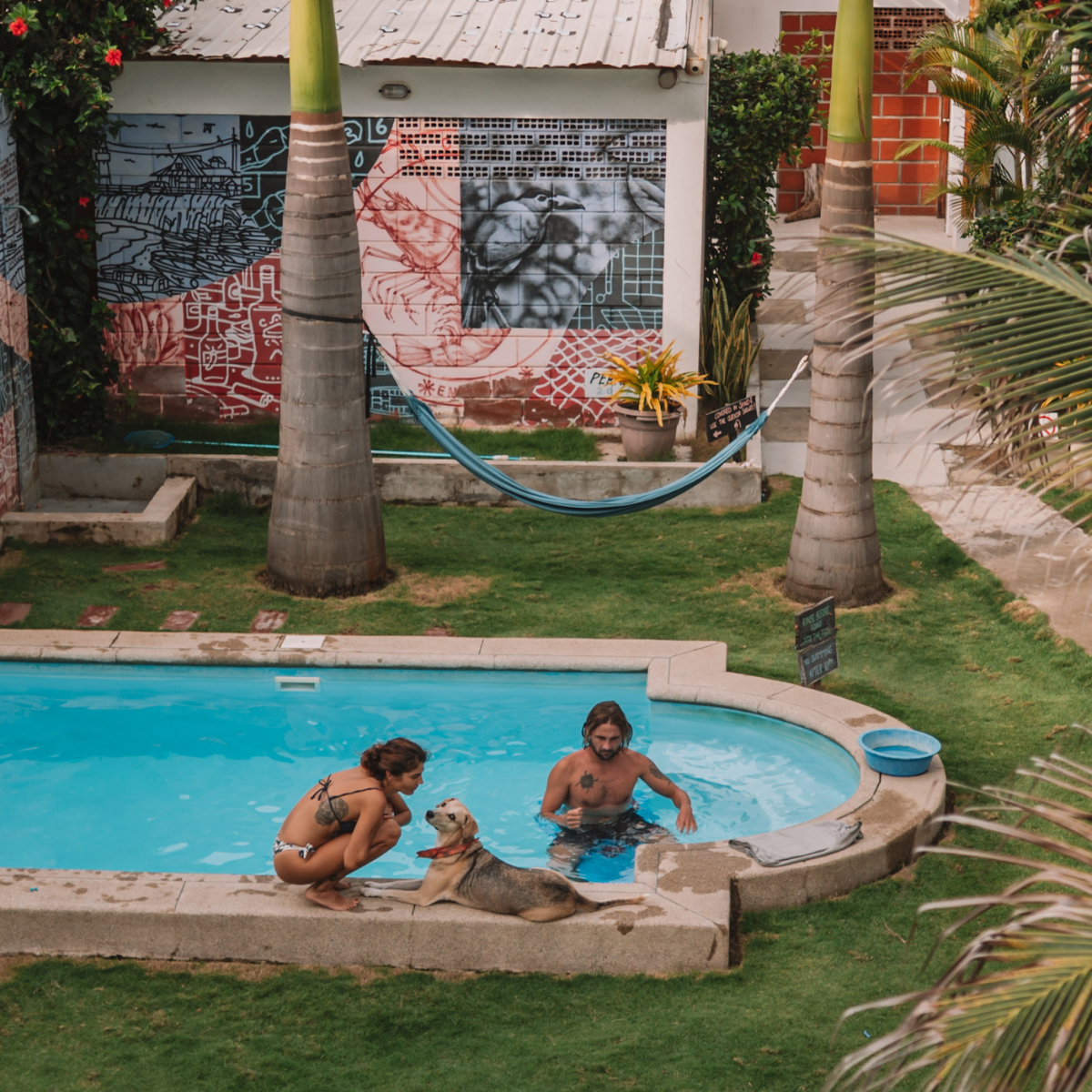 The pool at Free Spirit Hostel Ecuador The pool at Free Spirit Hostel Ecuador