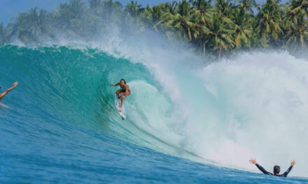 Tropic Fever – Laura Coviella