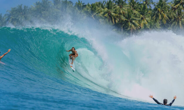 Tropic Fever – Laura Coviella