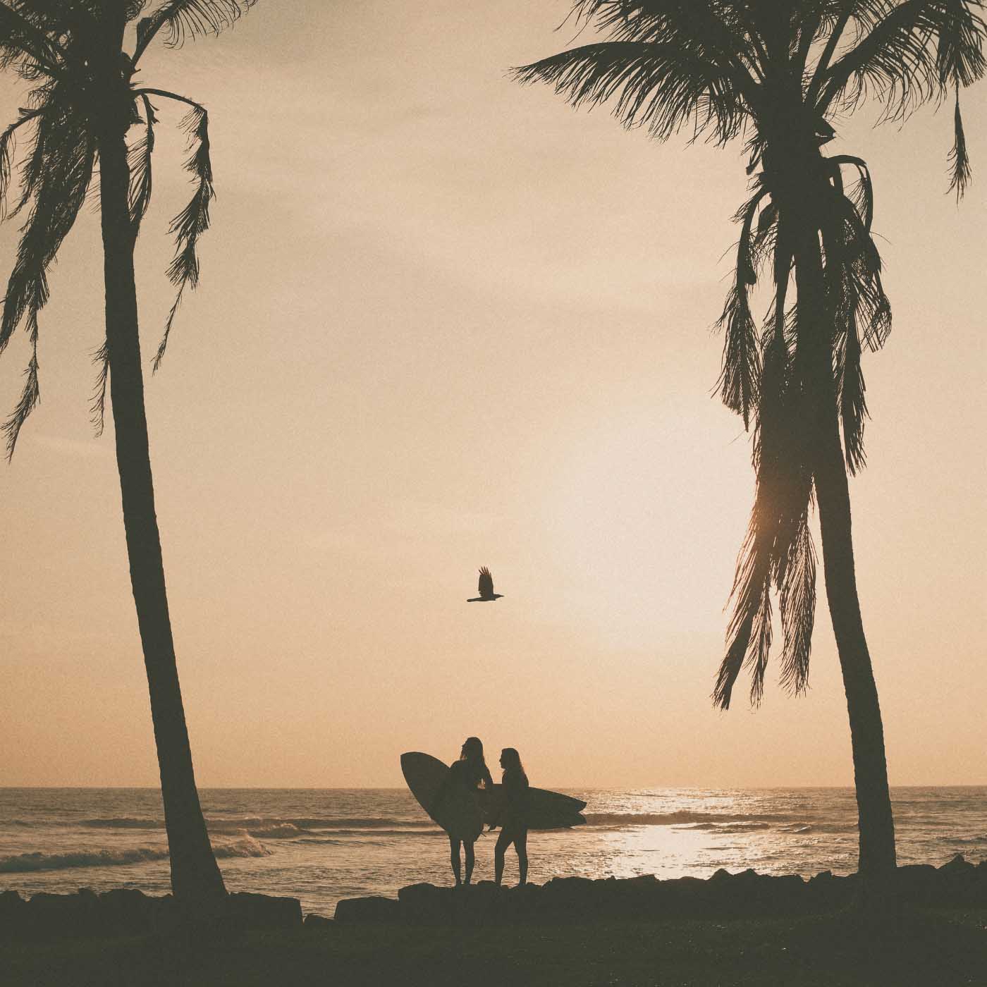 Surfing at Surf Spirit's Jungle Villa