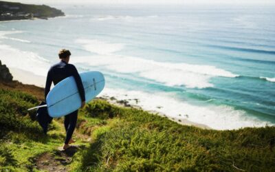 No Trees, No Seas Campaign