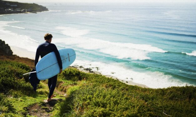 No Trees, No Seas Campaign