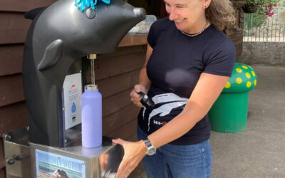 Does your Beach Need a Water Fountain?