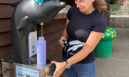 Does your Beach Need a Water Fountain?