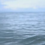 Everything You Need to Know About Cold Water Dipping