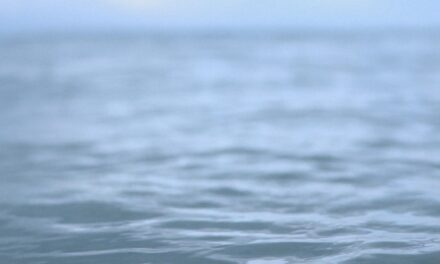 Everything You Need to Know About Cold Water Dipping