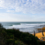 50th Year of World Tour