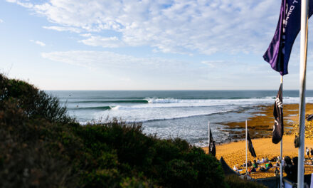 50th Year of World Tour