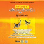 Rip Curl GromSearch