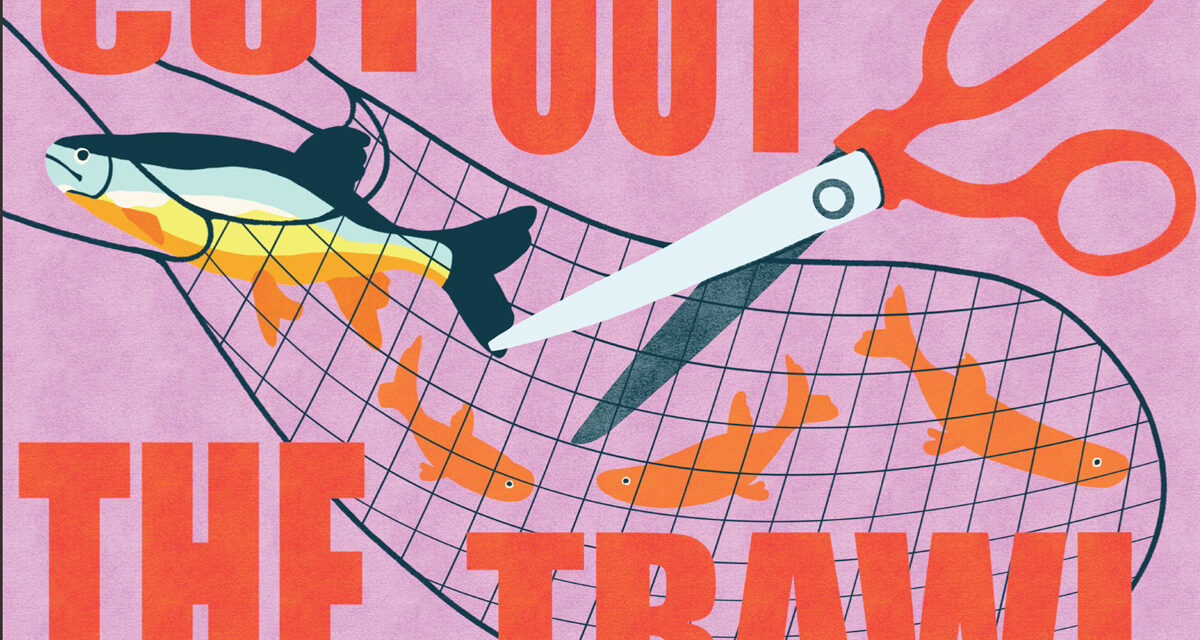 Boardmasters, Oceana and Falmouth University