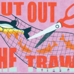 Boardmasters, Oceana and Falmouth University