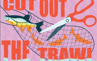 Boardmasters, Oceana and Falmouth University