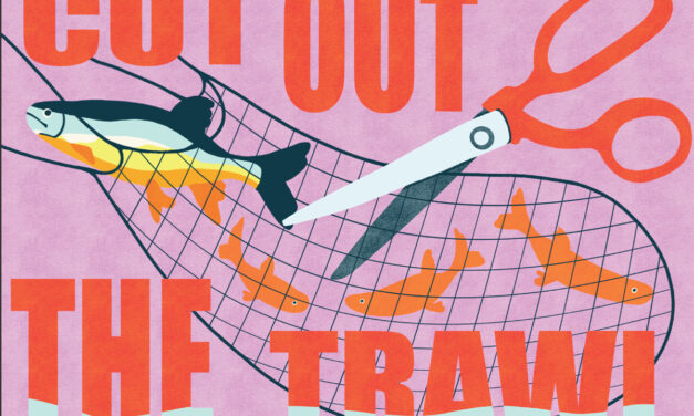 Boardmasters, Oceana and Falmouth University