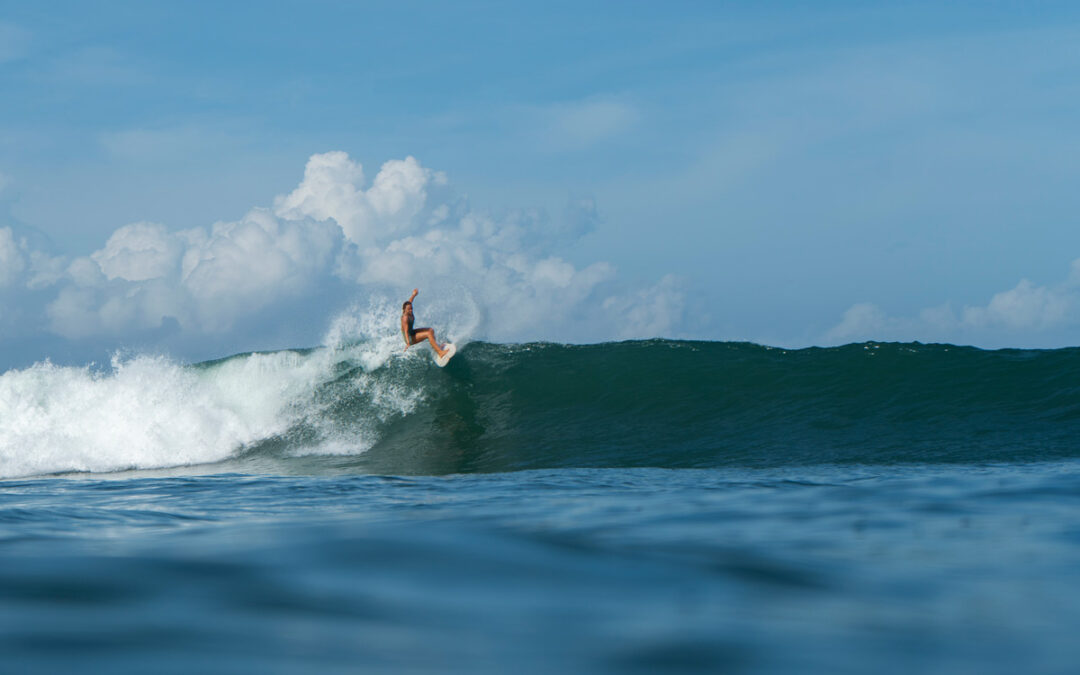 Jobs in Surfing: Surf Experience Surf Instructors