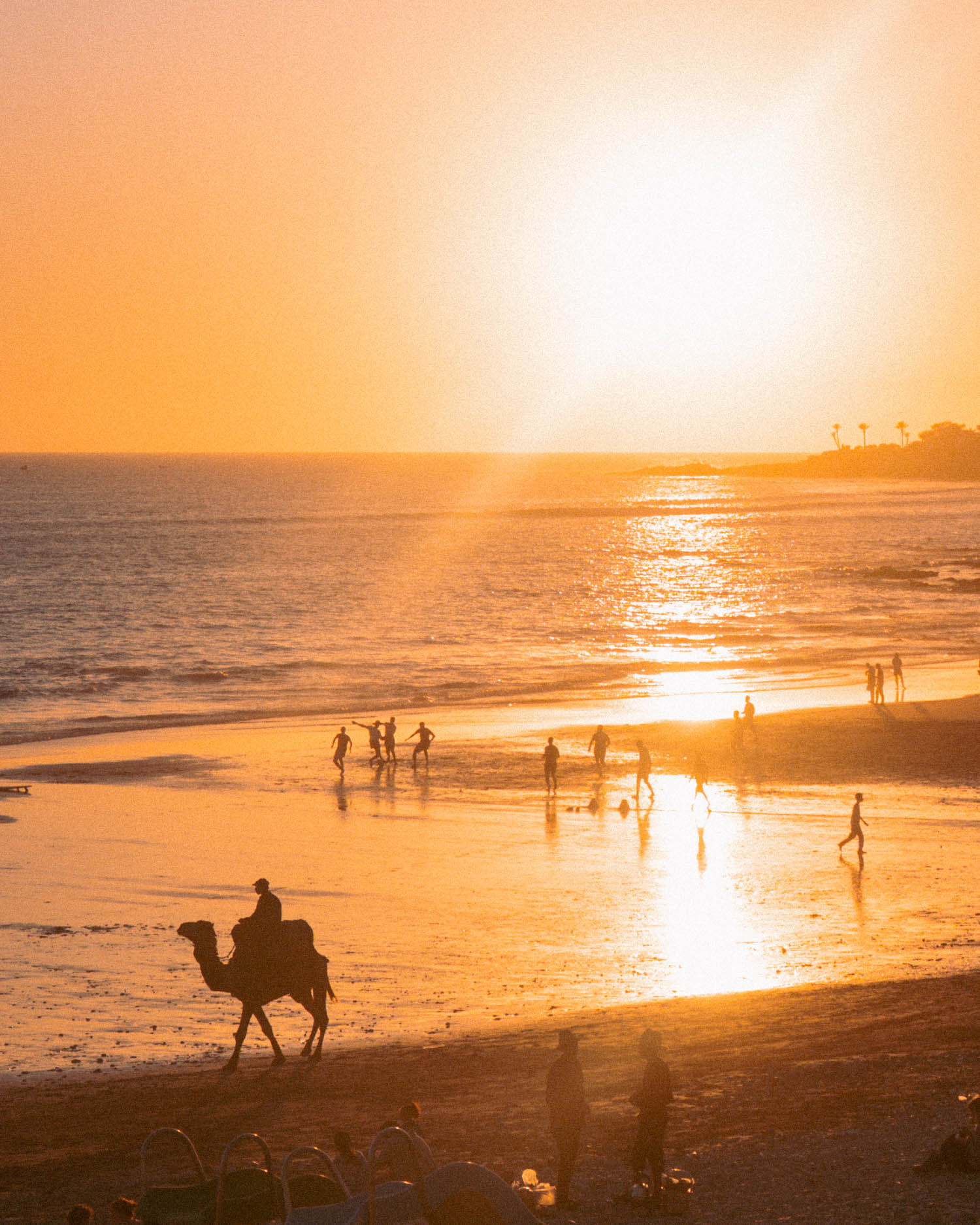 Camel and beach football at sunset on Morocco's Atlantic coast
