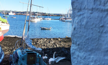 The Fight Over Falmouth’s Seabed